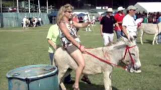 Donkey Derby Crucian Christmas Festival [upl. by Mashe]