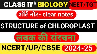 Structure of chloroplast chloroplast ki sanrachna chloroplast by Arvind sir [upl. by Nayk]