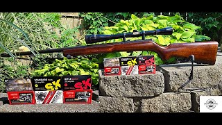 BRNO Mod 4 Budget 22LR Ammo Range Review [upl. by Lehman]