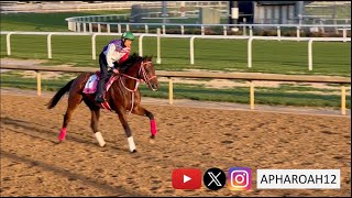 2024 Kentucky Derby 150 Training 41424 Japans Forever Young Hits the Track for First Time [upl. by Anairb]