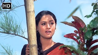 Nisdin Nisdin Mera Julmi Sajan  Annadata 1972  Lata Mangeshkar  Jaya Bachchan [upl. by Eralcyram]