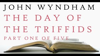 John Wyndham  The Day of the Triffids  Audiobook 15 [upl. by Clyte]