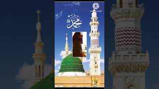 Behtarin short main sajda karun ya Dil Ko sambhalo shortyoutube islamicmusic وائرل beautiful [upl. by Dleifrag]