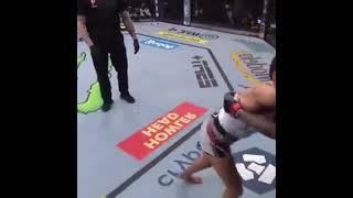 Amanda Nunes Vs Julianna Peña 1 HIGHLIGHTS WIN BY SUBMISSION [upl. by Airamahs]