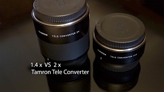 Tamrons 14x vs 2x Teleconverter Pros and Cons [upl. by Samuele]