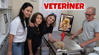 CİROYU VETERİNERE GÖTÜRDÜK  VLOG [upl. by Anitap]