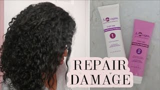 Aphogee Hair Strengthening Kit Review amp Demo on Natural Hair [upl. by Philan]