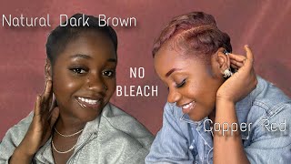 2024 Pixie Cut Natural Dark Brown to Copper Red Beginner Friendly No Bleach HiColorItsEricaJen [upl. by Malone810]