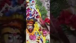 🌺 Jai maa Tara 🌺aroti pujastatus [upl. by Aehtna868]