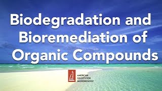 Biodegradation and Bioremediation of Organic Compounds by Lawrence Wackett PhD [upl. by Hui]