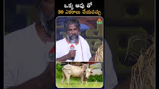 ఒక్క ఆవు తో 30 ఎకరాలు చేయవచ్చు  PMC Health [upl. by Alarice487]