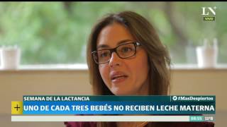 Semana de la lactancia uno de cada tres bebés no reciben la leche materna  Más Despiertos [upl. by Attiuqihc]