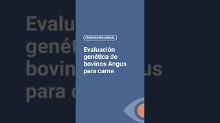 Evaluación genética de bovinos Angus [upl. by Haikezeh]