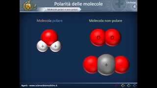 Citologia 04  Polarità delle molecole [upl. by Alik]