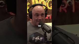 Joe Rogan Reacts to a Rock Climber Fighting a Bear joerogan bear podcast [upl. by Notsuj]