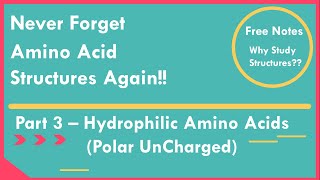 04 Amino Acid Structures  Hydrophilic Ionizable Amino Acids Part 33  Easy Mnemonic to Memorize [upl. by Gusta]