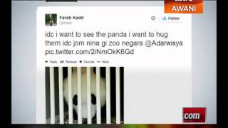 Welcome To Malaysia tweet alualuan untuk panda [upl. by Sterner]