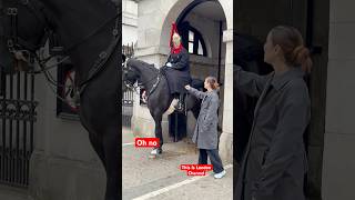 Again and Again Tourists the same mistakehorse history horseguard horseguardsparade [upl. by Etnod]