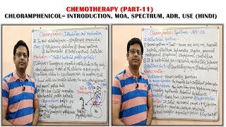 Chemotherapy of Antibiotics Part11 Chloramphenicol Mechanism of Action  Chloramphenicol Spectrum [upl. by Haelhsa]