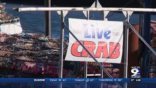 Crab Season scheduled to start next week [upl. by Etnoek]