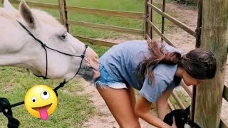 FUNNIEST Farm Animals 😂  Best Videos for families [upl. by Nomi]