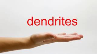 How to Pronounce dendrites  American English [upl. by Irok992]