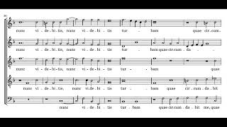 Lassus Tristis est anima mea  Magnificat [upl. by Ylen562]