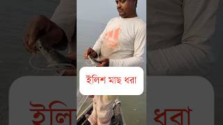 ilish maach dhara 2024 fishing hilsafishing shortvideo river netfishing newfishing [upl. by Littlejohn]