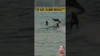 Dolphins Surprise Surfers Unbelievable Ocean Moment Caught on Camera amazing surfing [upl. by Iphlgenia]