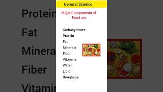 The Major Components of Food Components of Food [upl. by Vizza822]