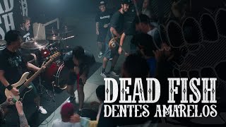 Dead Fish  Dentes Amarelos Clipe Oficial [upl. by Shantee]