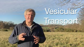 Organelles Understanding Vesicular Transport [upl. by Fusco897]