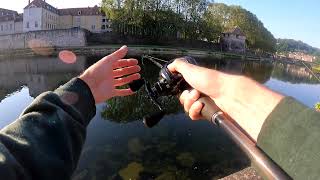 Le whopper plopper cest cool silure 1m86 [upl. by Annaeerb]