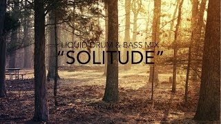 quotSolitudequot  Deep Liquid Drum amp Bass Mix [upl. by Amiaj]