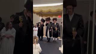 Hasidic Chuppah [upl. by Satsoc]