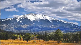 Scenic Drive through Flagstaff Arizona [upl. by Jeff203]