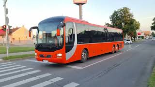 Autobuze din Oradea [upl. by North43]