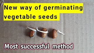 Completely new way of germinating vegetable seeds with 100 success  Live proof [upl. by Lilac]