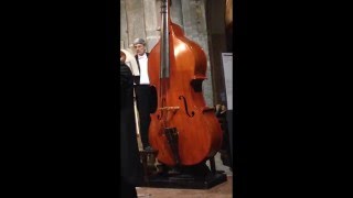 A Dvorak  New World Symphony  Octobass [upl. by Emersen]