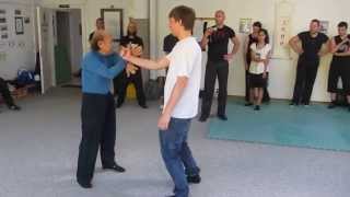 Sifu Lo Man Kam teachs in Switzerland  052013 [upl. by Annod61]