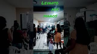 levanto mis manos [upl. by Lemyt]