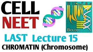 Cell  CHROMATIN Chromosome last Lecture 15  NCERT 11 VERY IMPORTANT [upl. by Pendergast]