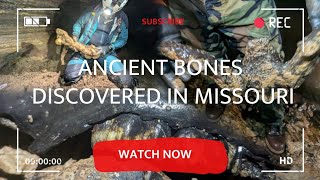 The Surprising Discovery of Ancient Bones while Caving in Missouri [upl. by Gothurd]