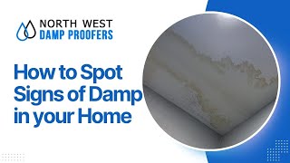 Stop Damp Before It Destroys Your Home [upl. by Ghassan833]