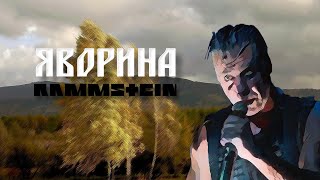 Rammstein x Степан Гіга  ЯВОРИНА by MONROTE [upl. by Bijan]