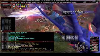 FFXI Dynamis Windurst  D Disjoined Tarutaru [upl. by Nyllij]