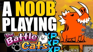 NOOB TO PRO 111  GRINDING STORIES OF LEGENDS TO GET URURUN WOLF  The Battle Cats [upl. by Bonacci900]