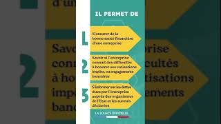 L’état d’endettement pour vous prémunir contre les risques d’impayés [upl. by Sikram]