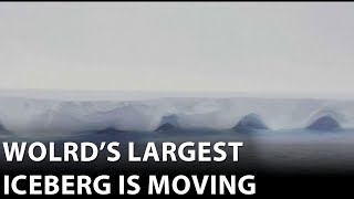 Worlds largest iceberg is moving in the Antarctic Ocean [upl. by Ishmul]