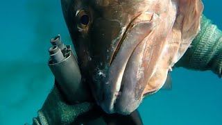 The Best Bahamas Spearfishing [upl. by Aisorbma]